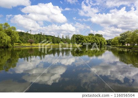 A small lake located in a park in Europe. Natural shoreline covered with grass. Calm water surface A small lake located in a park in Europe. Natural shoreline covered with grass. Calm water surface 116056504