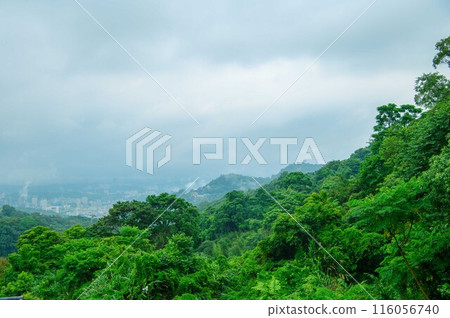 台灣貓天空 台灣貓天空 116056740