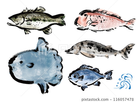 A collection of various hand-drawn fishes. A set of Japanese-style brush-drawn fishes. 116057478