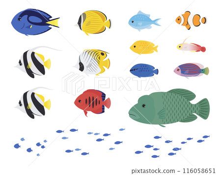 熱帶魚插圖素材集 熱帶魚插圖素材集 116058651