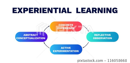 Experiential learning model diagram. Pie chart with marketing development analysis and management Experiential learning model diagram. Pie chart with marketing development analysis and management 116058668