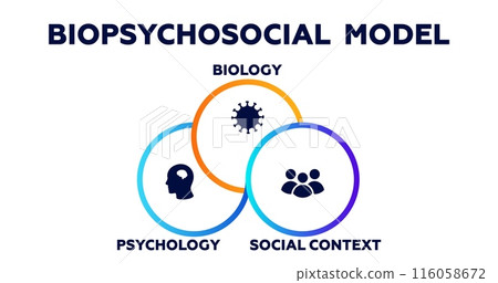 Biopsychosocial model infographic. Psychology of biology and social context with presentation of character types Biopsychosocial model infographic. Psychology of biology and social context with presentation of character types 116058672
