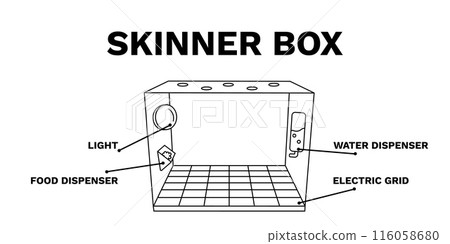 Skinner box. Laboratory chamber for animals with light and supply of food Skinner box. Laboratory chamber for animals with light and supply of food 116058680