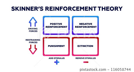 Skinners reinforcement theory. Psychological behavior and impact of stimulating factors 116058744