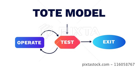 Tote model. Structure of behavioral perception in animals and humans 116058767
