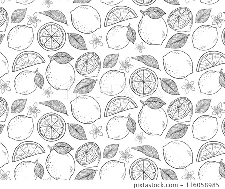 手繪風格單色無縫圖案與檸檬和葉子 116058985