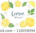 Lemon and leaf watercolor illustration set 116058994