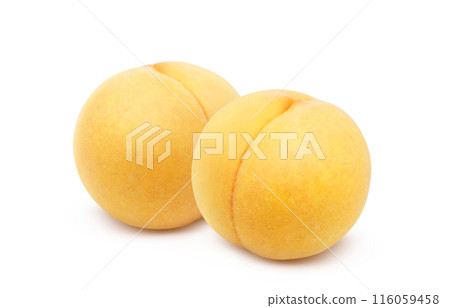 Golden peach illustration realistic set white background 116059458