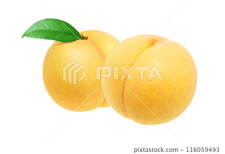 Golden peach illustration realistic set white background 116059493