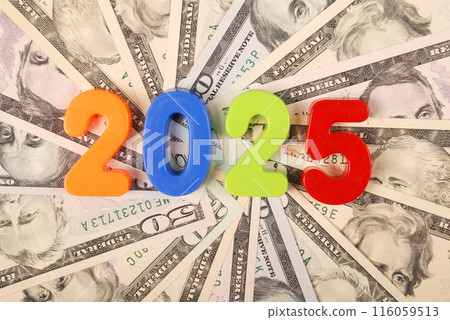 2025 New year isolated on white background. 2025 New year isolated on white background. 116059513