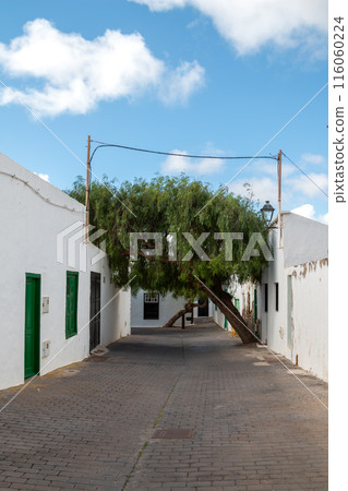 Architecture and greenery, Teguise, Lanzarote, Spain Architecture and greenery, Teguise, Lanzarote, Spain 116060224