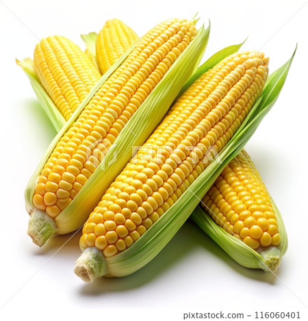 Fresh yellow corn isolated on white background. Ai generated Fresh yellow corn isolated on white background. Ai generated 116060401
