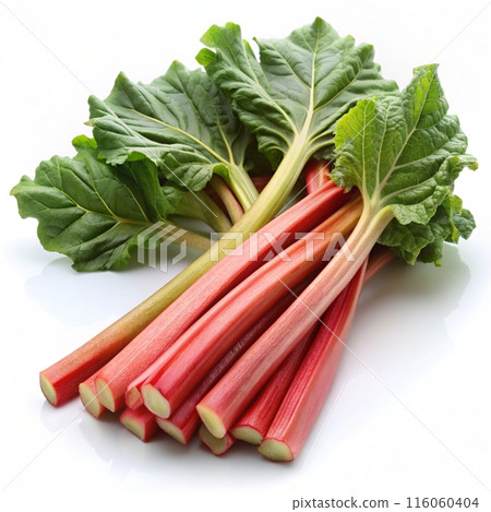 Rhubarb stalks isolated on white backround. Ai generated  116060404