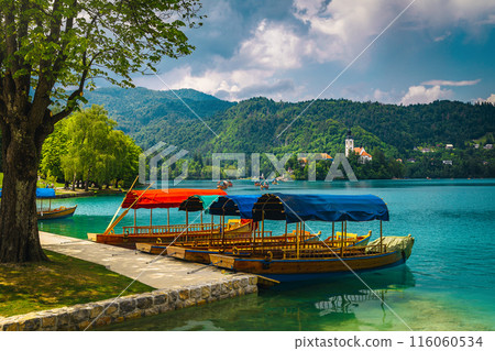 Anchored pletna boats on the lake Bled, Slovenia Anchored pletna boats on the lake Bled, Slovenia 116060534
