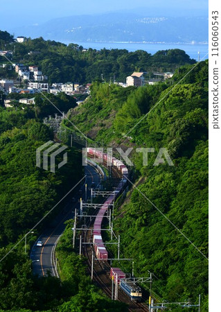 EF65PF牽引貨櫃列車沿著S形曲線行駛，背景是海 116060543