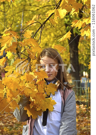 beautiful, cheerful girl on a walk in the autumn park beautiful, cheerful girl on a walk in the autumn park 116061062