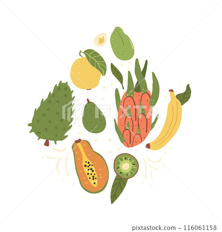 Tropical fruits emblem isolated on white background. Set of exotic sweet dessert Vector hand drawn collection illustration. 116061158