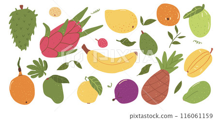 Tropical fruits isolated on white background. Vector hand drawn flat collection illustration. 116061159