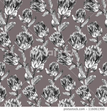 Seamless monochrome watercolor pattern with vertical protea flowers  116061300