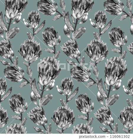 Seamless monochrome watercolor pattern with vertical protea flowers for textile and surface design 116061302