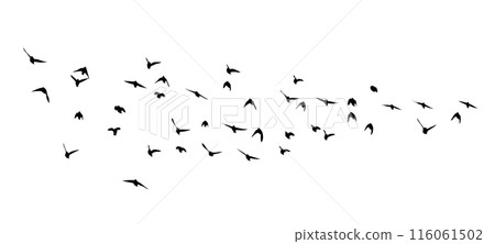 Flying birds silhouette flock. hand drawing. Not AI, Summer vector illustration Flying birds silhouette flock. hand drawing. Not AI, Summer vector illustration 116061502