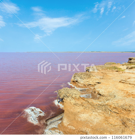 Pink salty Syvash Lake, Ukraine Pink salty Syvash Lake, Ukraine 116061679