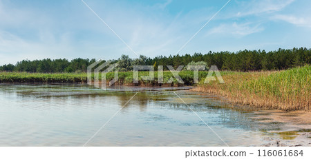 Summer iodine lake, Ukraine 116061684
