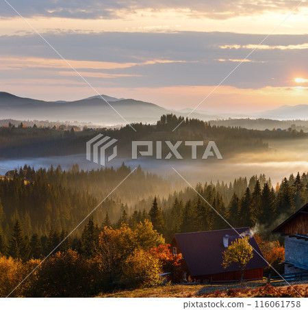 First sunrise rays of sun in Carpathian mountains. 116061758