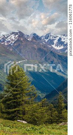 Summer Pass del San Gottardo, Switzerland. Summer Pass del San Gottardo, Switzerland. 116061778