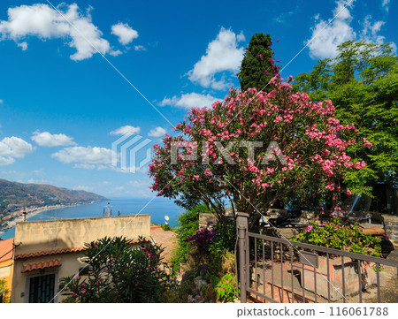 Taormina view from up, Sicily Taormina view from up, Sicily 116061788