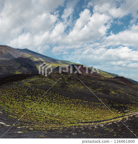 Etna volcano view, Sicily, Italy 116061800
