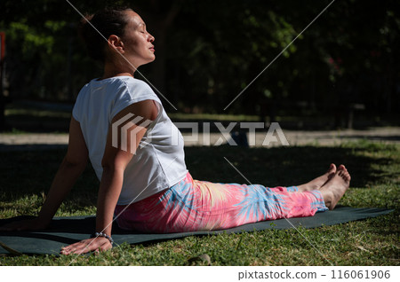 Woman practicing outdoor yoga under the sun in a peaceful park 116061906