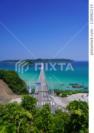 Tsunoshima Bridge 25 116062214