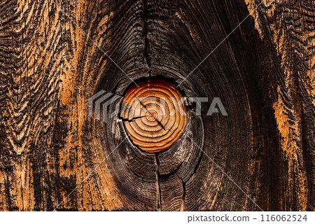 Wood knot with natural pattern Wood knot with natural pattern 116062524