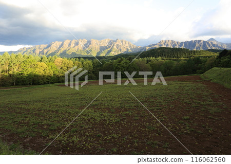 初夏，在崎嶇多岩的戶隱山脈 116062560