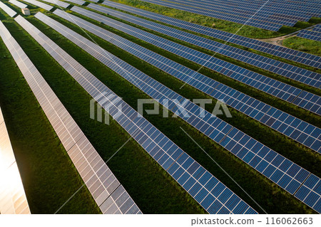 Solar panels on verdant field, surrounded by leafy 116062663