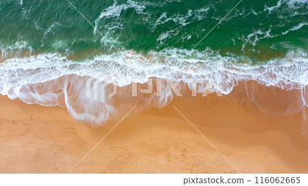 Serene Aerial View of an Empty Ocean Beach 116062665
