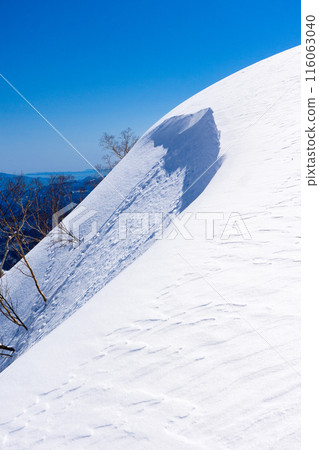 Hakuba Village, Nagano Prefecture, Mount Kotomi in the Northern Alps, Snow Mountain Climbing, Mount Kotomi's Ninose, Traces of a Surface Avalanche 116063040