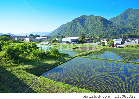 17號國道沿途綠意盎然的田園風光 17號國道沿途綠意盎然的田園風光 116063322