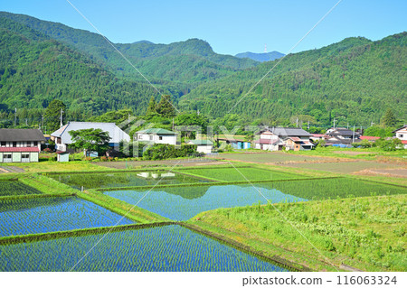 A rural landscape lit up by greenery, along National Route 17 A rural landscape lit up by greenery, along National Route 17 116063324