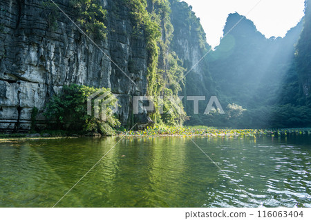 乘船遊覽越南河內的山谷河,清晨可以看到漂浮的蓮花 乘船遊覽越南河內的山谷河,清晨可以看到漂浮的蓮花 116063404