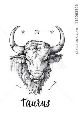 a black and white drawing of a bull with horns and the zodiac sign taurus 116063506