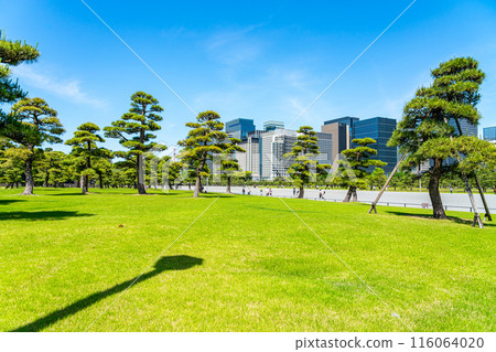 [東京] 被大自然包圍的皇居外苑和丸之內建築 116064020