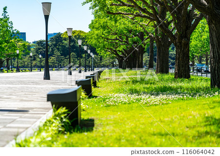 [東京] 皇居外苑，綠樹成排，美麗極了 116064042