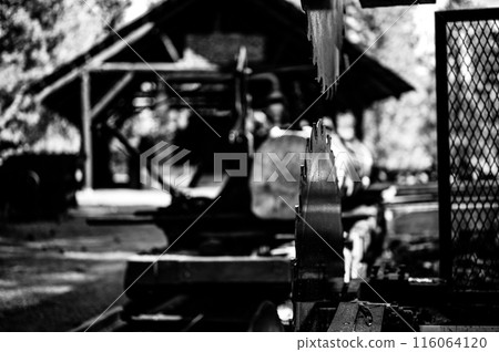 Shadowed Serenity: An Enigmatic Monochromatic Portrayal of a Resplendent Dwelling 116064120