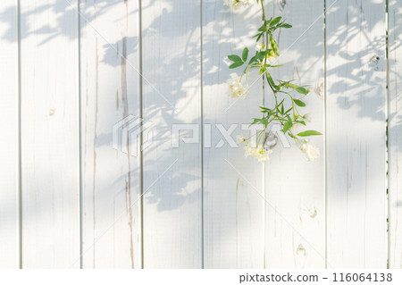 Mokko 玫瑰和白色柵欄 Mokko 玫瑰和白色柵欄 116064138