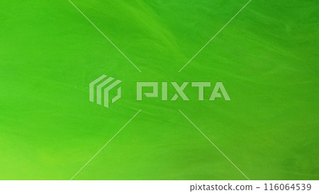 Color smoke texture. Paint water. Defocused neon green glowing glitter mist flow abstract art background with copy space. 116064539