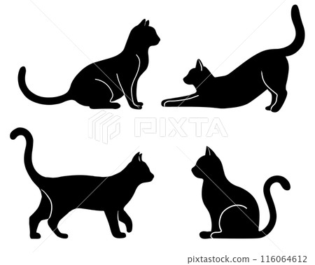 貓剪影設定在各種姿勢 116064612