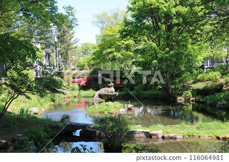 盛岡城址公園、鶴池噴泉 盛岡城址公園、鶴池噴泉 116064981