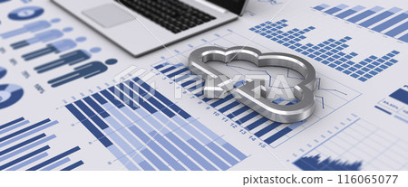 Business documents and cloud icon Business documents and cloud icon 116065077
